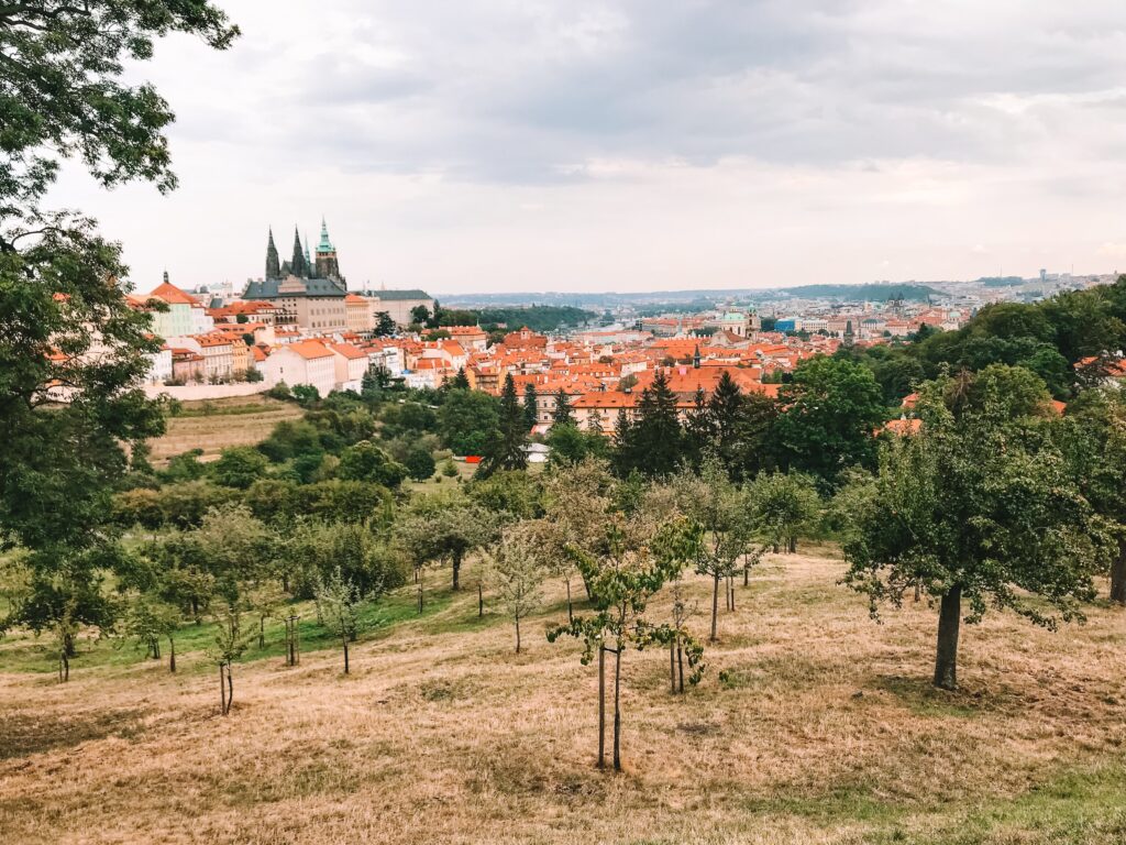 views of Prague from the beer garden