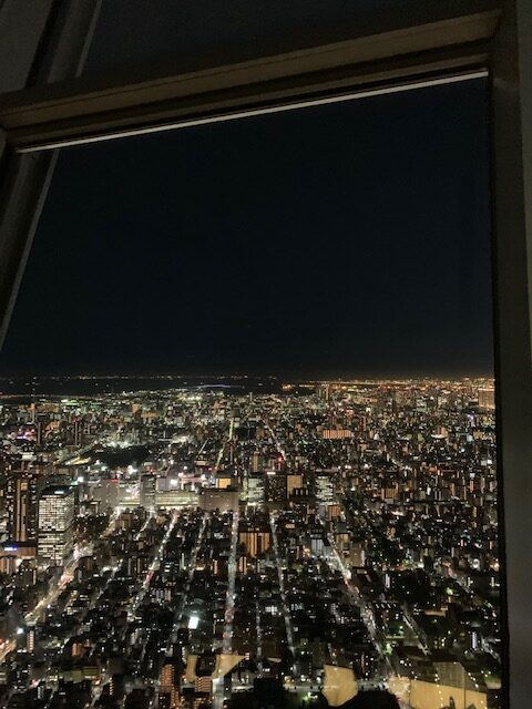 Views from Tokyo Skytree